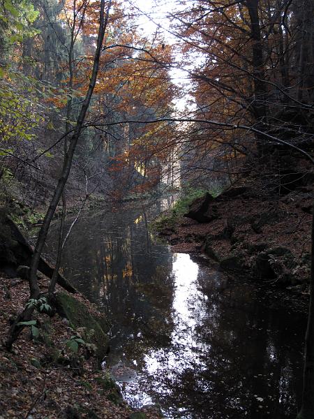 2011-10-31, Malerweg (55).JPG